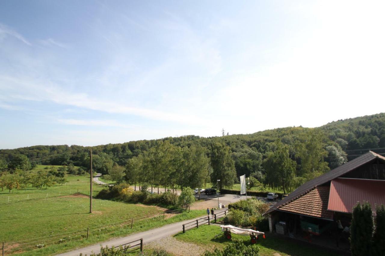 Ferienwohnung Edelbrenner Rimbach (Hessen) Exterior foto